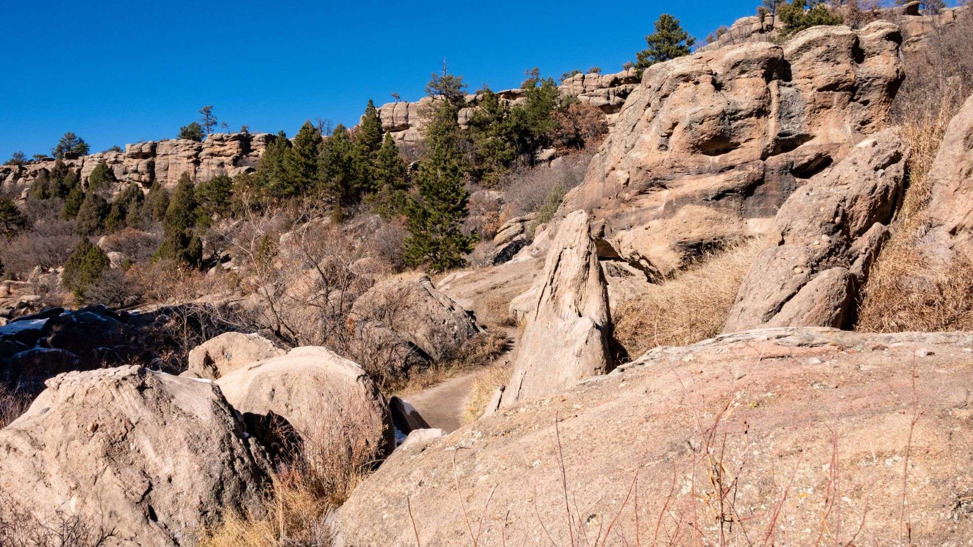 Nature's Call: Top 5 Outdoor Escapes in Elbert County, CO